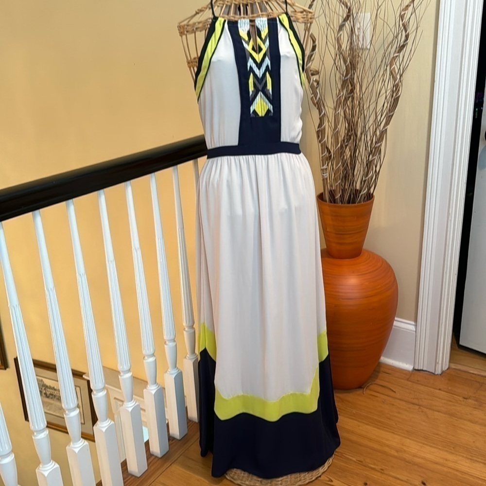 Greylin maxi dress